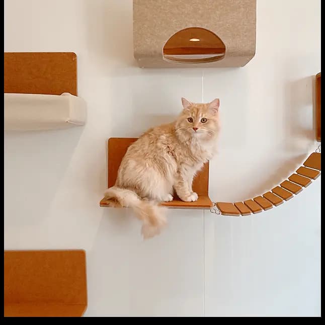 ペットと暮らす家